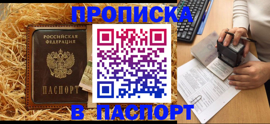 прописка поиск в Железногорске